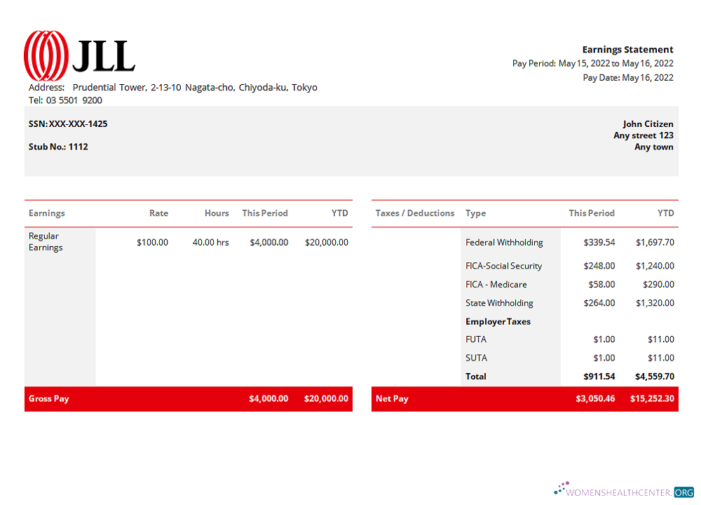 Download USA JLL real estate company pay stub Word Photoshop template